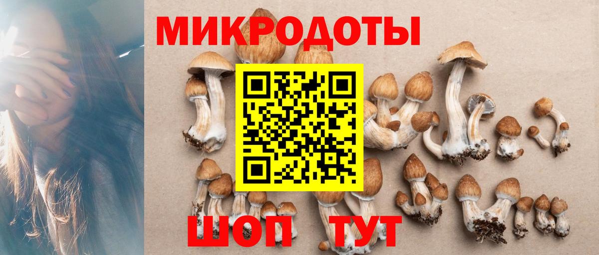 Галлюциногенные грибы мухоморы Воронеж